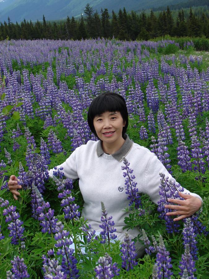 Reflection Lake Bed And Breakfast 앵커리지 외부 사진